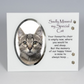 Sadly Missed My Special Cat Memorial Glass Frame