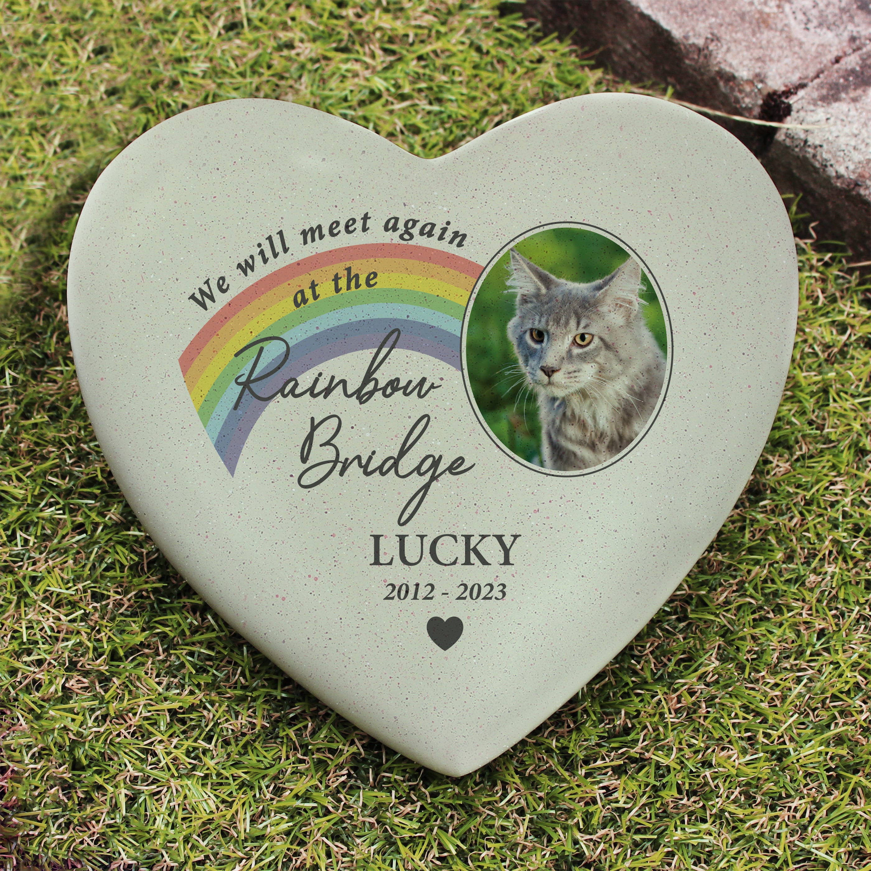 Pet markers for best sale cats