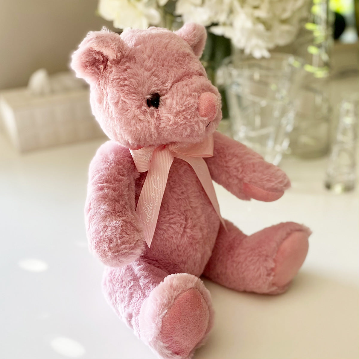 Record-A-Voice Pink Teddy Bear