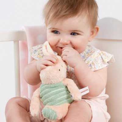 Disney Classic Hundred Acre Wood™ Soft Toy - Piglet