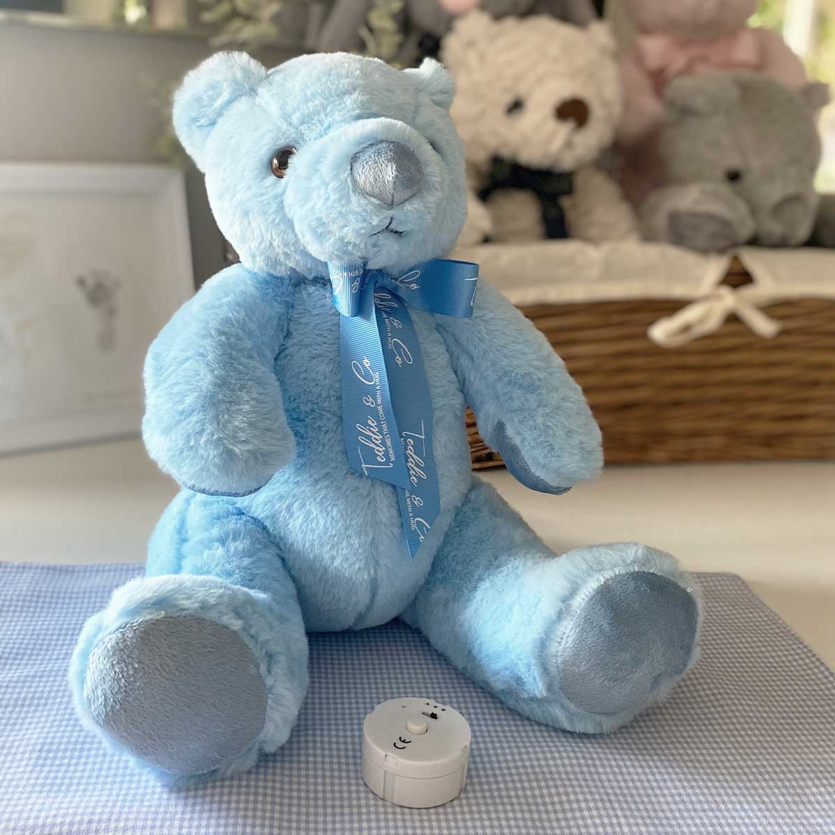 Record A Voice Blue Teddy Bear