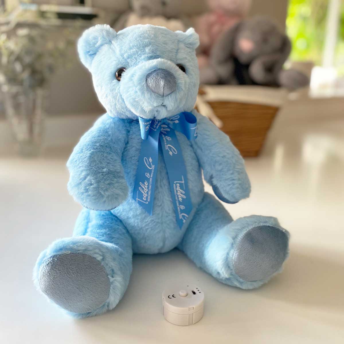 Blue and deals green teddy bear