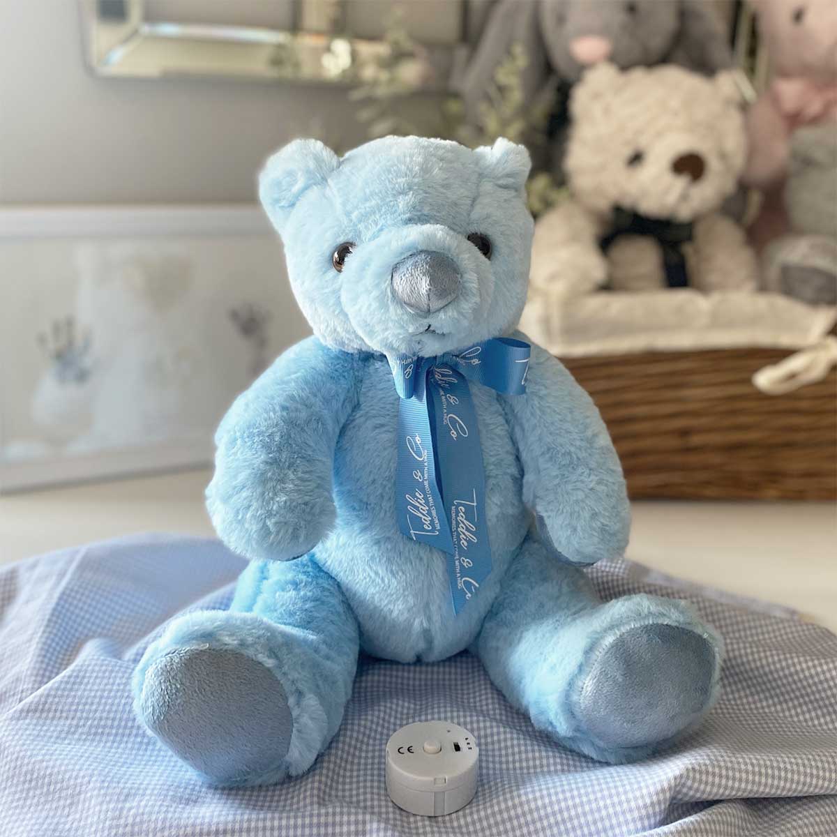 Record-A-Voice Blue Teddy Bear