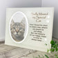 Sadly Missed My Special Cat Memorial Glass Frame