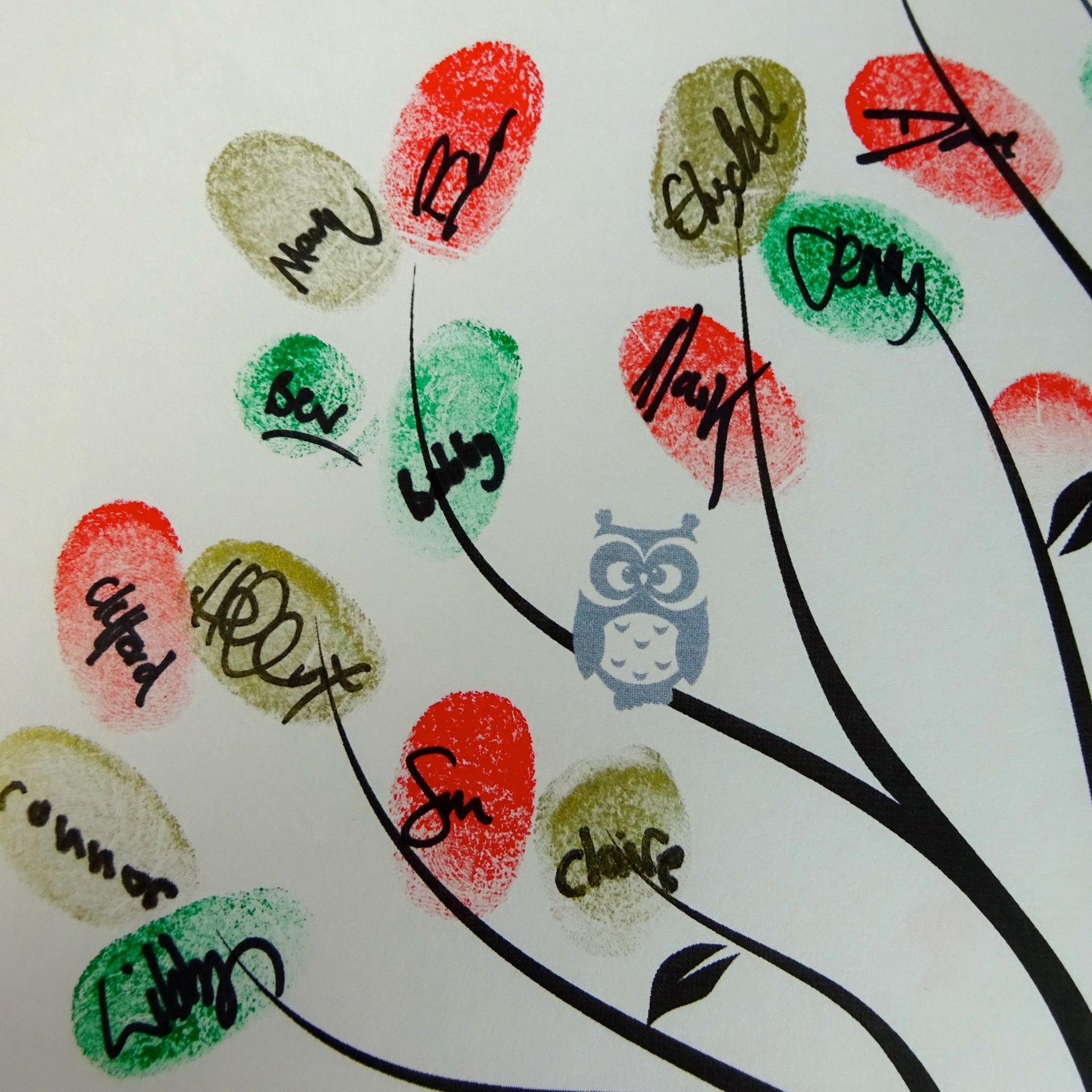 Fingerprint tree / multicolour fingerprint leaves, grey owl