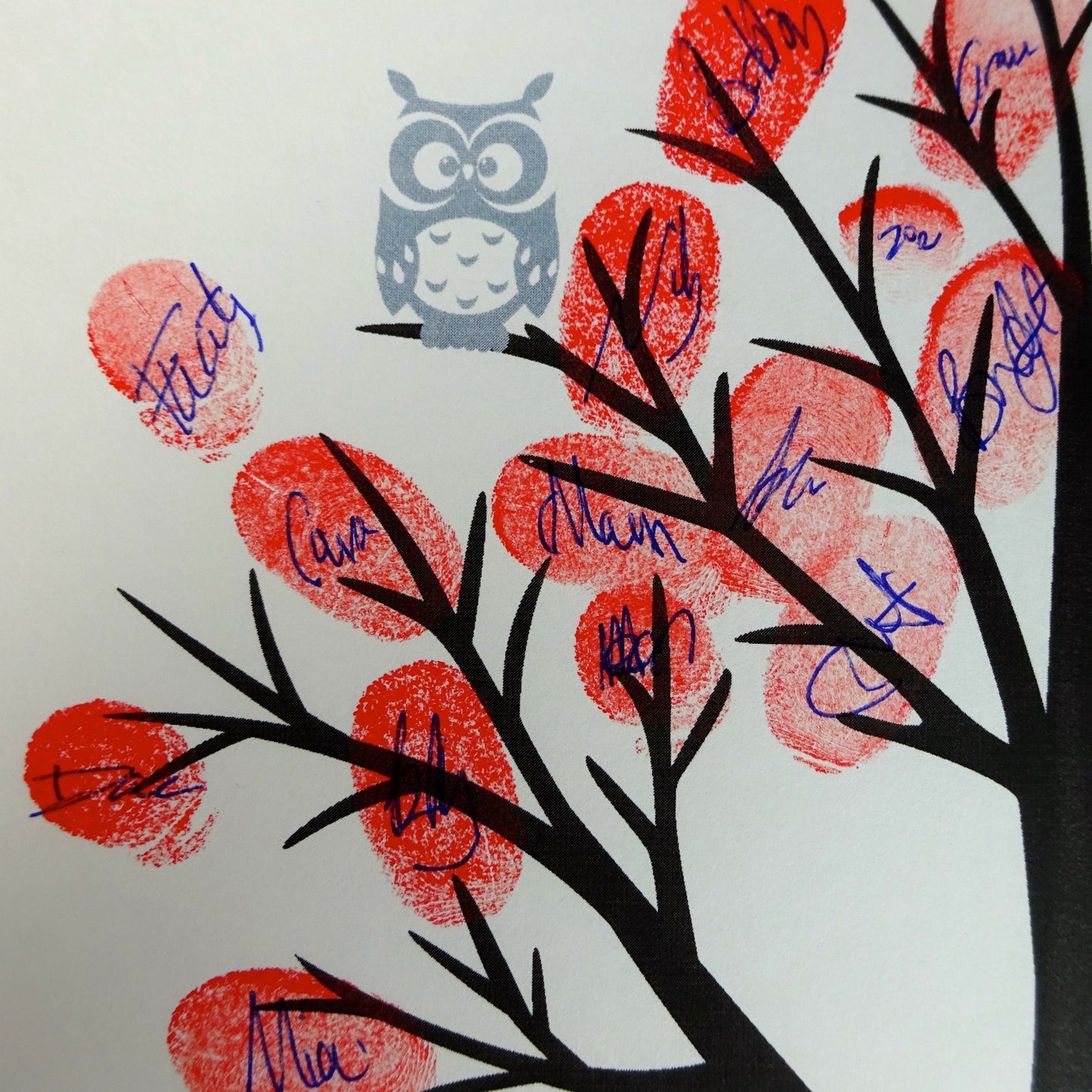 Fingerprint tree / fingerprint leaves, grey owl