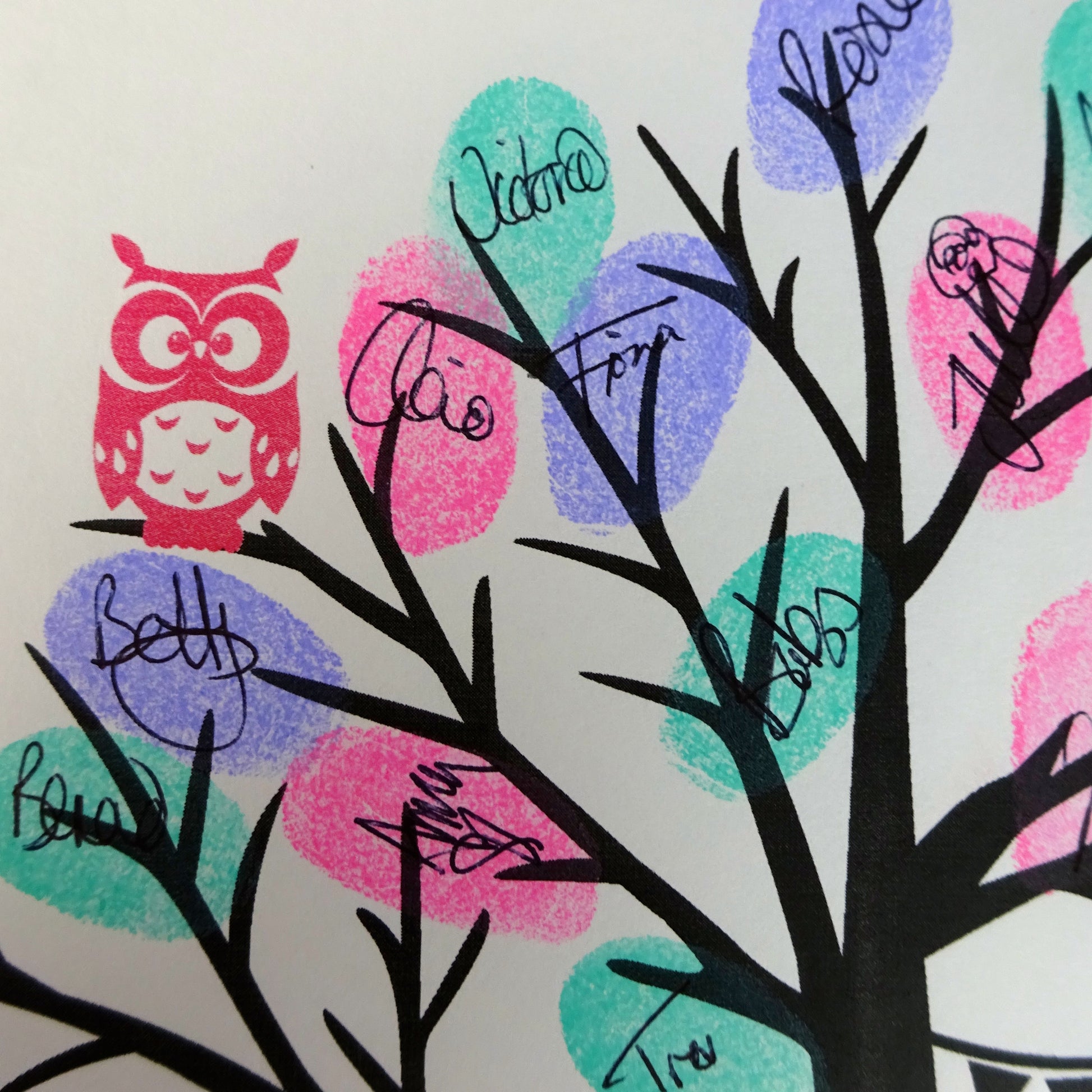 Fingerprint tree / fingerprint leaves, pink owl