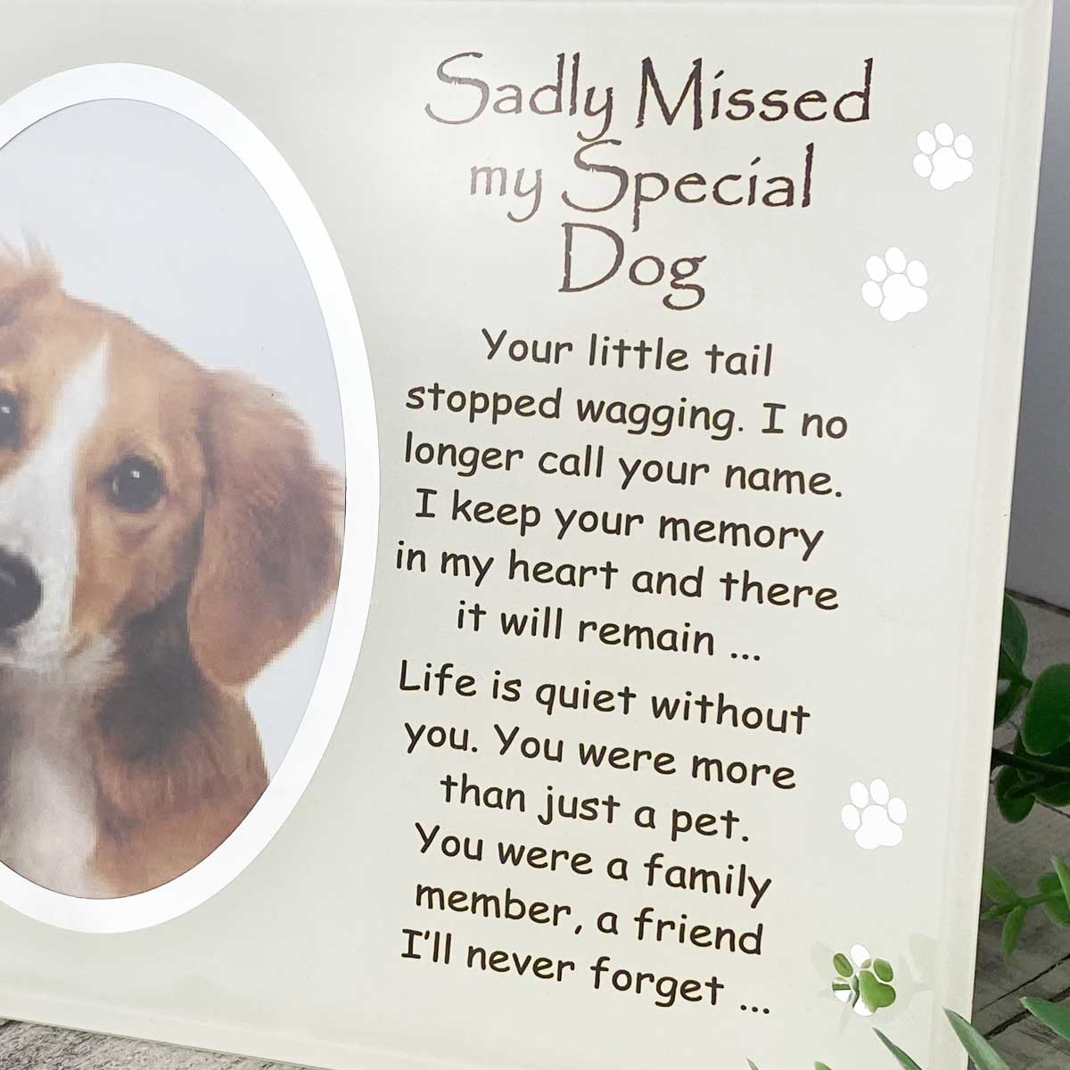 Sadly Missed my special dog memorial Glass frame
