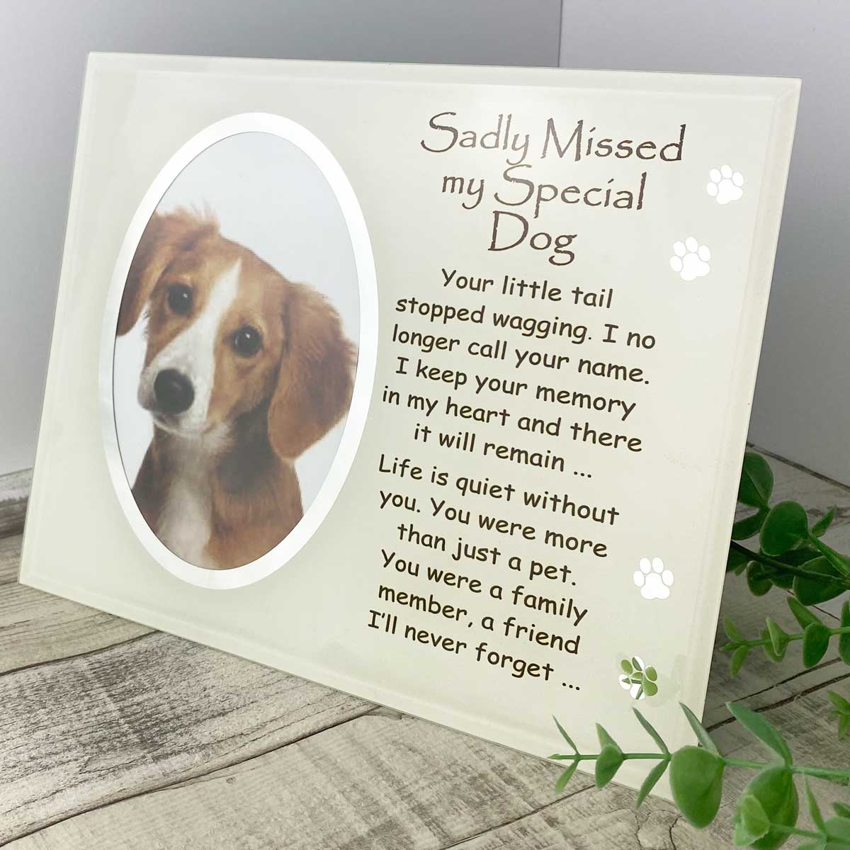 Sadly Missed my special dog memorial Glass frame
