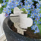 Paw Print Memorial Garden Plant Marker & Forget Me Not Seeds