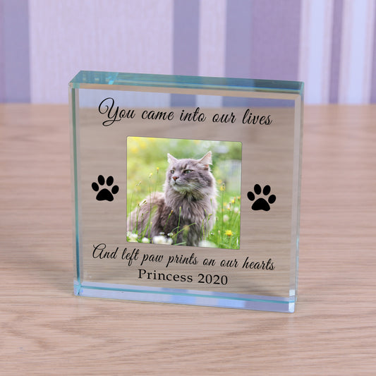Glass Token - Paw Prints on our...