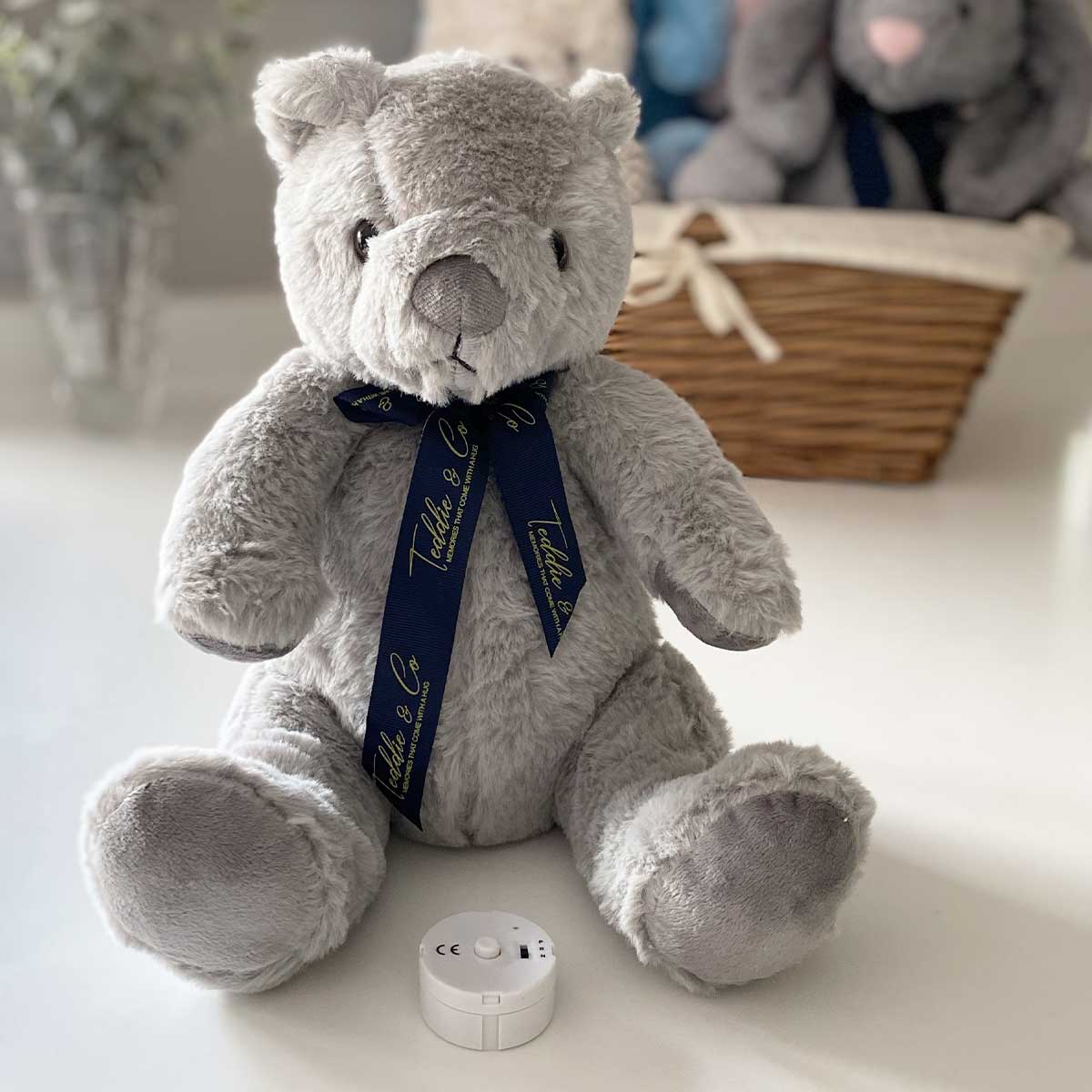 Recording shop teddy bear