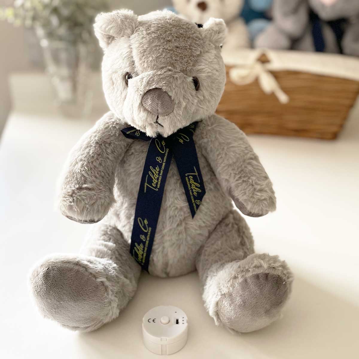 Teddy bear 2025 that records
