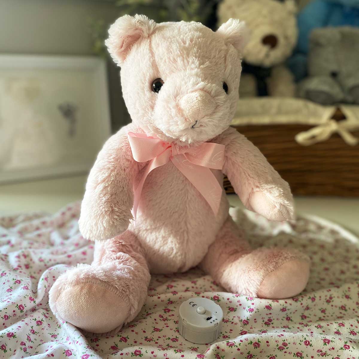 Record-A-Voice Pink Teddy Bear