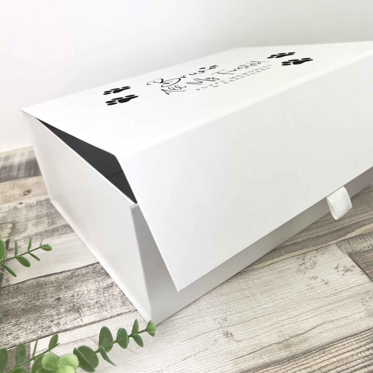 Personalised All My Firsts Puppy / Kitten Memory Box