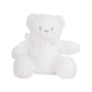Personalised 'Born in 2024' White Teddy