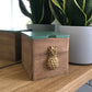 Trinket / Keepsake Box with pineapple design